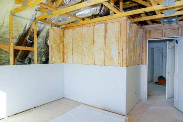 Best Energy-efficient Insulation  in Danbury, TX
