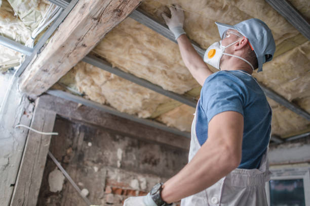 Best Commercial Insulation Contractor  in Danbury, TX