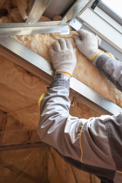 Best Professional Insulation Contractor  in Danbury, TX