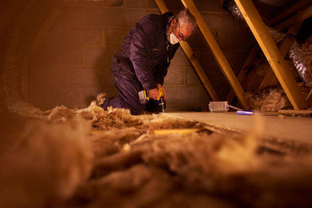 Best Wall Insulation Contractor  in Danbury, TX